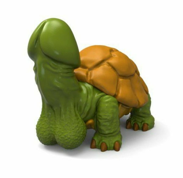 Dicky Turtle